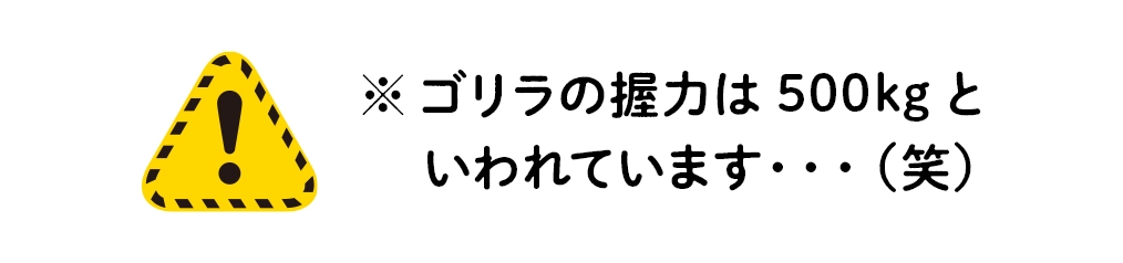 ※ゴリラの握力は500kgといわれています・・・（笑）