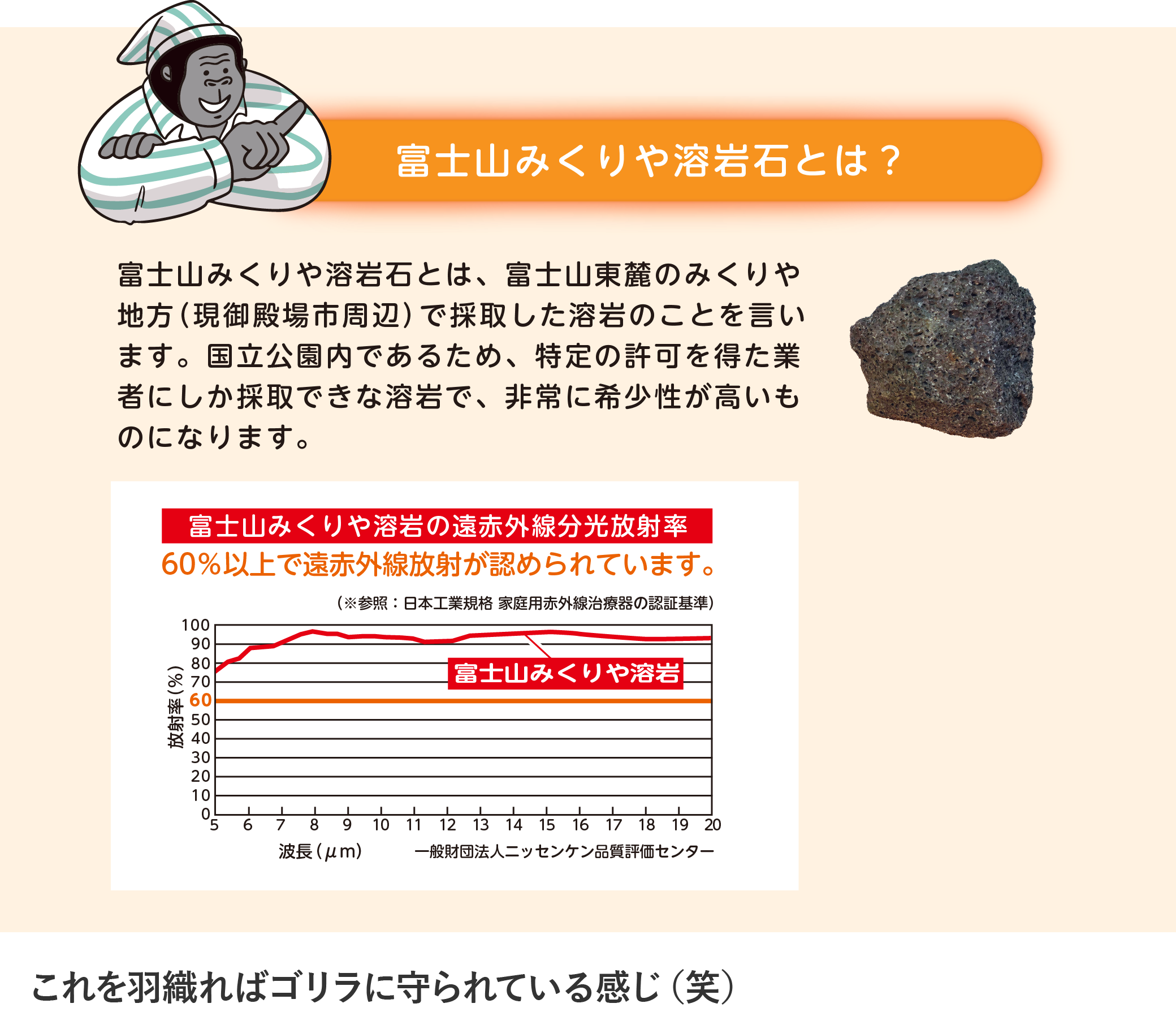 富士山みくりや溶岩石とは？